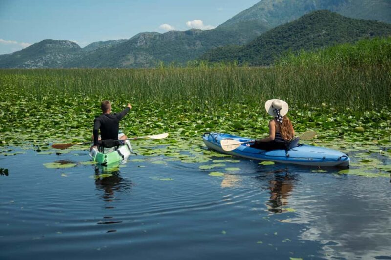 Skadar Lake: Individual Kayaking, hidden canals and swimming - Who Would Love This Tour?