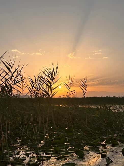 Skadar Lake Private Boat Tour with Wine Tasting - Final Thoughts