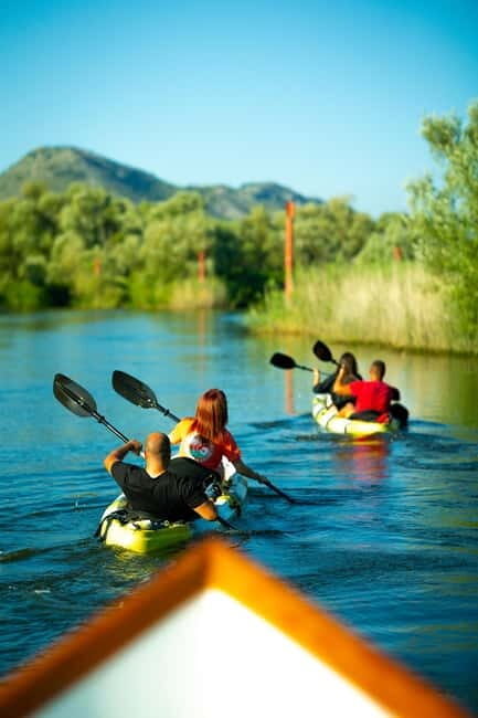 Skadar Lake: Self-Guided Bird Tour & Kayak Rental - Key Points