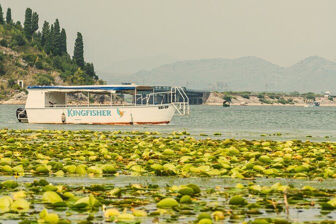 Skadar Lake Short Guided Tour: Discover the Montenegrin Alcatraz - Discovering Lake Skadar: A Short Guided Tour with Big Views