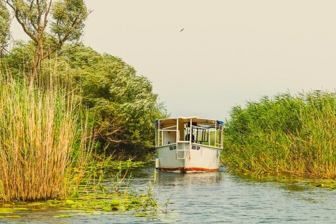 Skadar Lake Short Guided Tour: Discover the Montenegrin Alcatraz - Key Points