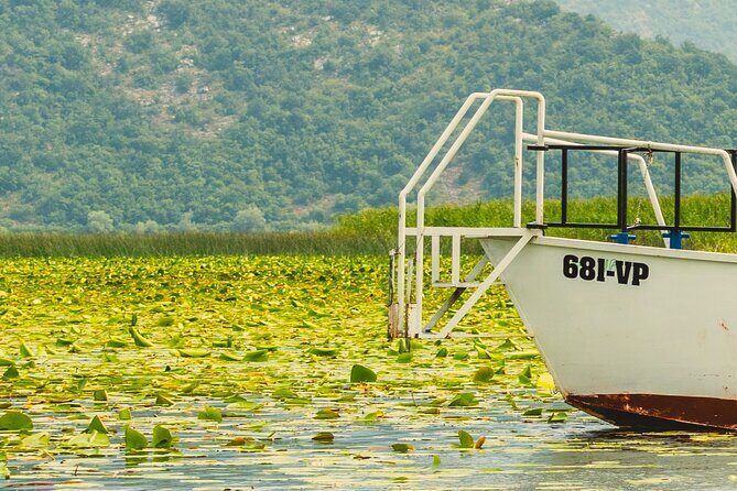 Skadar Lake Short Guided Tour: Discover the Montenegrin Alcatraz - Practical Details and Tips