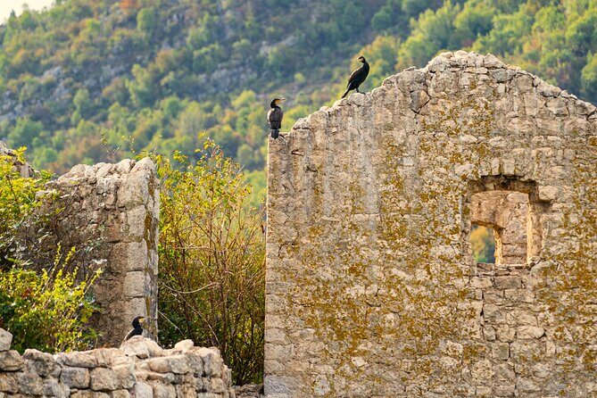 Skadar Lake Short Guided Tour: Discover the Montenegrin Alcatraz - Final Thoughts