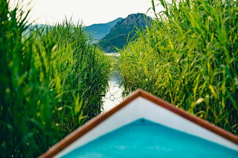 Skadar Lake Virpazar : Speed Boat Special ! - An In-Depth Look at the Skadar Lake Speed Boat Tour
