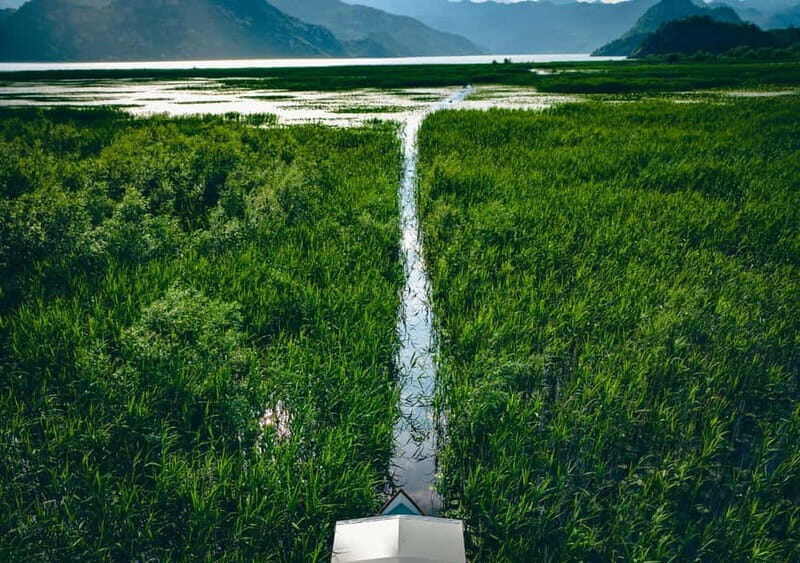 Skadar Lake Virpazar : Speed Boat Special ! - Final Thoughts