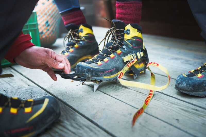 Skaftafell: Blue Ice Experience Easy Glacier Hike - The Glacier Walk: Falljökull