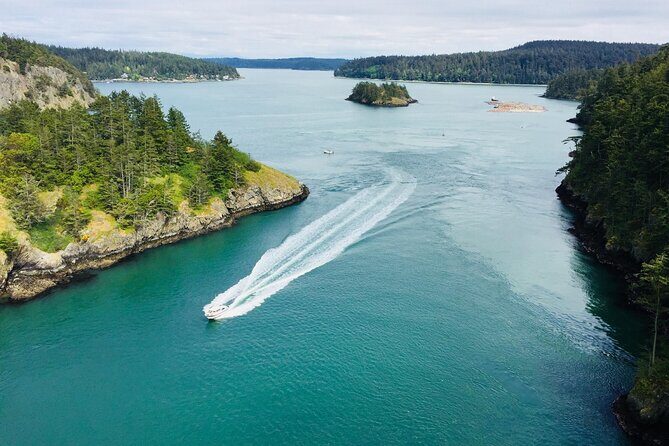 Skagit Valley Birding + Deception Pass Day Tour From Seattle - A Thorough Look at the Tour Experience