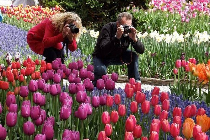 Skagit Valley Tulip Festival Day Tour from Seattle - Authentic Experiences and Practical Tips