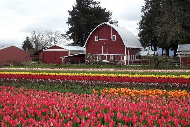 Skagit Valley Tulip Festival Day Tour from Seattle - Final Thoughts