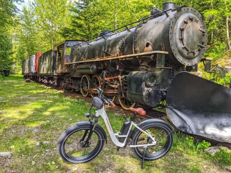 Skagway: E-Bike Rental - Who Will Love This Experience?