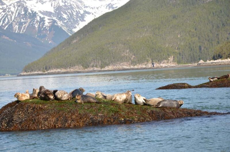 Skagway: Ocean Raft Adventure Along Scenic Coastline - An In-Depth Look at This Skagway Adventure