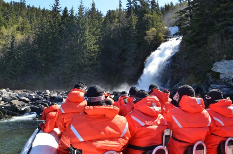 Skagway: Ocean Raft Adventure Along Scenic Coastline - What Reviewers Are Saying