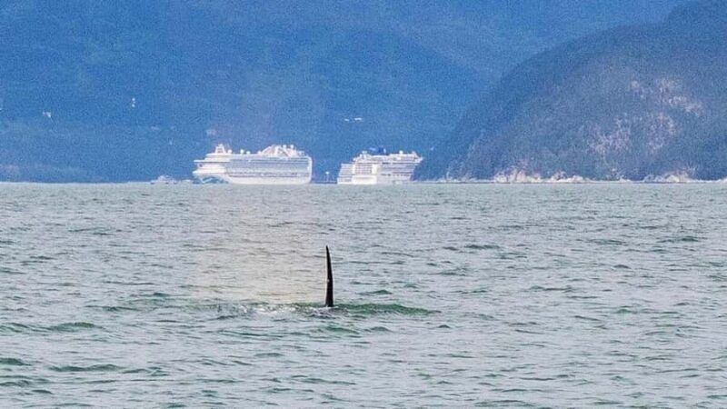 Skagway: Ocean Raft Adventure Along Scenic Coastline - FAQ