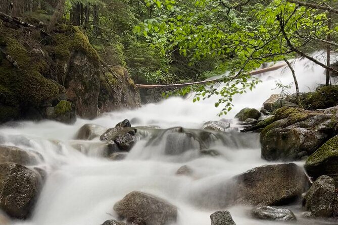 Skagway Waterfall Tour - What to Expect at a Glance