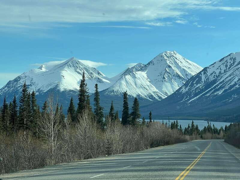 Skagway: Yukon Dog Mushing & Sightseeing Tour - Key Points