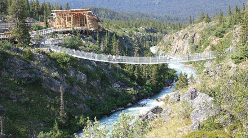 Skagway: Yukon Suspension Bridge & Summit Tour - Final Thoughts: Is This Tour Right for You?