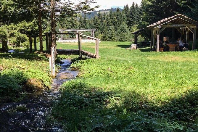 Skakavac Waterfall Hike - From Sarajevo - An In-Depth Look at the Skakavac Waterfall Hike