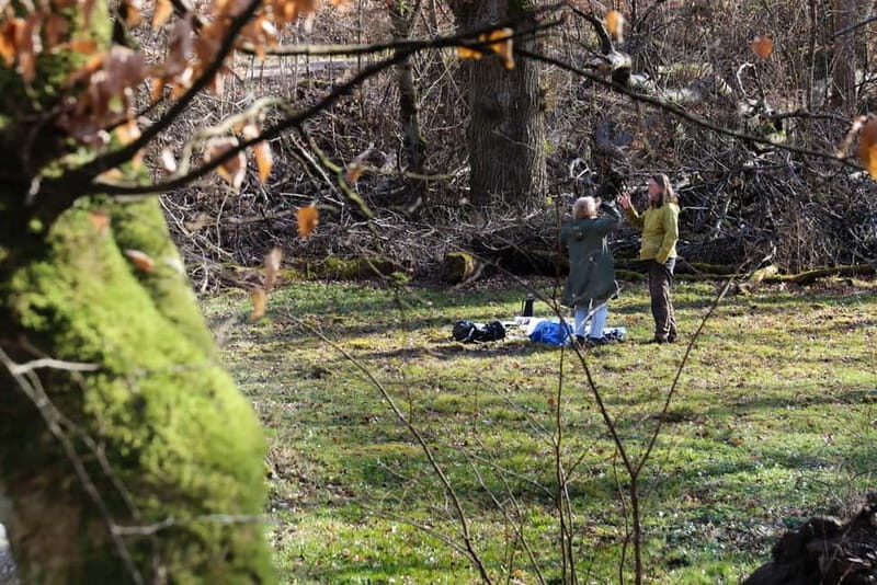 Skåne: guided hike in national park incl lunch close to Lund - Key Points