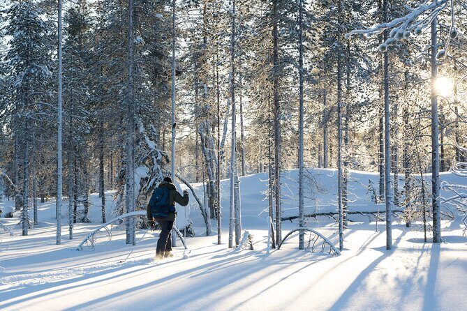 Ski Trek to the Wilderness - Extra Small group - The Value and Why It’s Worth Considering