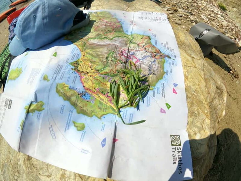 Skiathos: Guided Sea Kayaking Tour with Swim Stop - Key Points