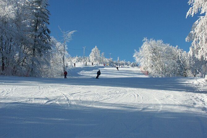 Skiing For Beginners - Private Day Trip from Krakow - What to Expect on Your Day