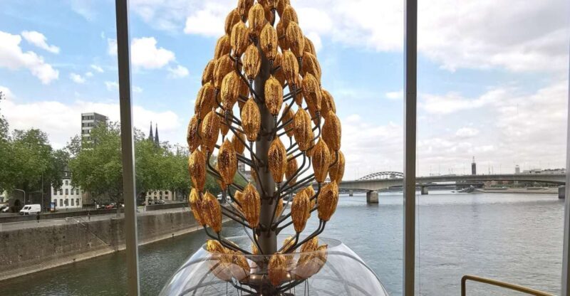 Skip-the-Line Chocolate Museum & Old Town Guided Tour - Key Points