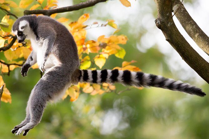 Skip the Line: Daily Admission at Woodland Park Zoo Ticket - Practical Details