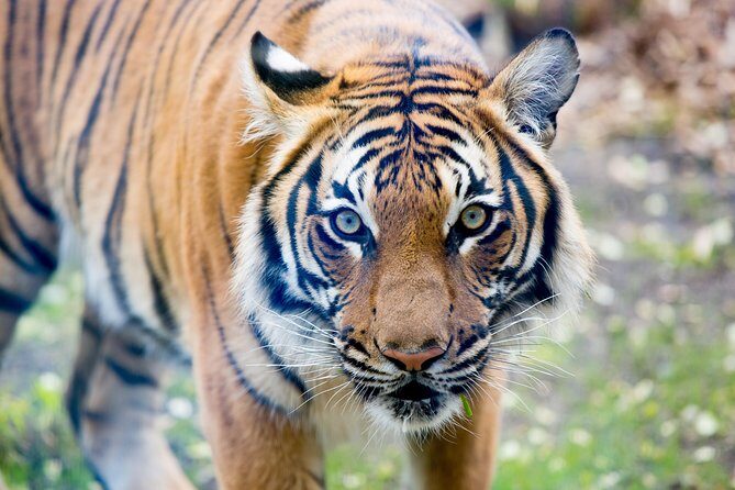 Skip the Line: Daily Admission at Woodland Park Zoo Ticket - Final Thoughts