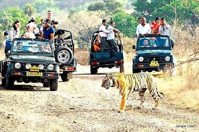 Skip-the-Line Entry for Ranthambore Gypsy Safari - FAQ