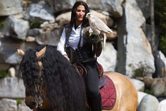 Skip the Line: Falconeria Locarno Ticket - An In-Depth Look at the Falconry Tour