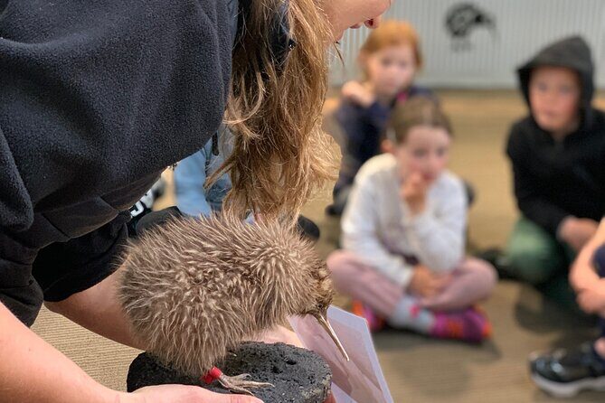 Skip the Line: Franz Josef Wildlife Center Ticket with Optional Backstage Pass - Key Points