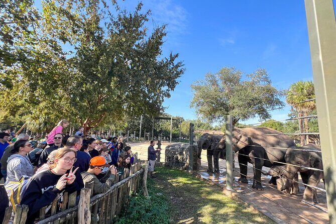 Skip The Line Houston Zoo Admission Ticket - Final Thoughts: Who Should Consider This Tour?