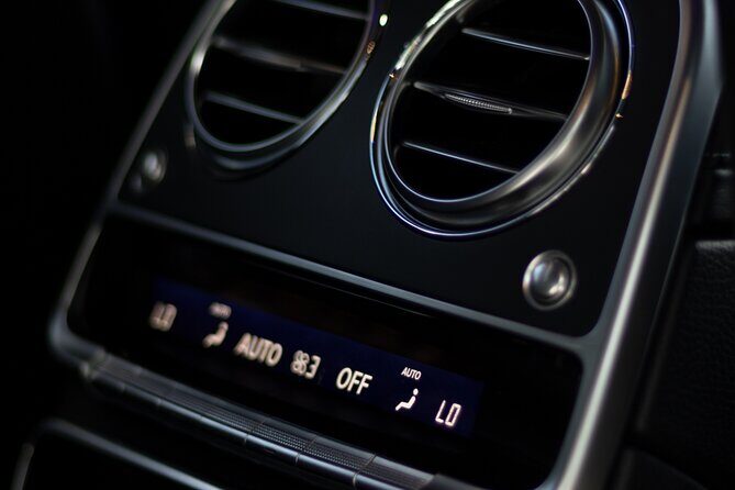 Skip-the-Line Keukenhof Gardens and Tulip Fields Tour from Amsterdam - Who This Tour Is Perfect For