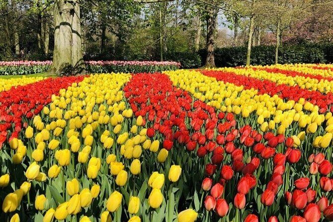 Skip-the-Line Keukenhof Gardens and Tulip Fields Tour from Amsterdam - Final Thoughts