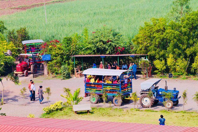 Skip the Line: Meher Retreat Day Picnic Ticket, Near Pune - What Is the Meher Retreat Day Picnic Experience?