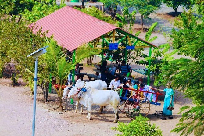 Skip the Line: Meher Retreat Day Picnic Ticket, Near Pune - The Itinerary: A Play-by-Play