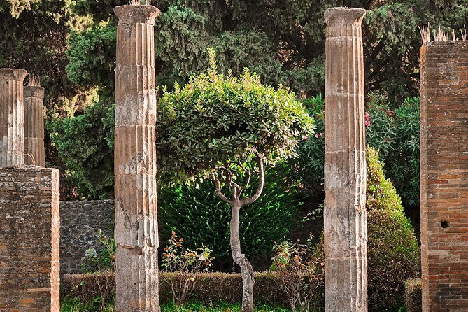 Skip the line Pompeii guided tour from Sorrento - Practical Aspects and What You Should Know