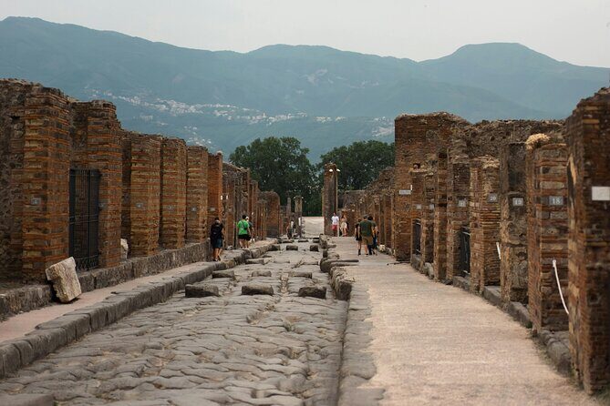 Skip the Line Pompeii Guided Tour Small Group or Private Option - Who Should Consider This Tour?