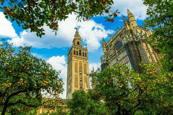 Skip the Line Seville Alcázar, Cathedral & Giralda Guided Tour - Frequently Asked Questions