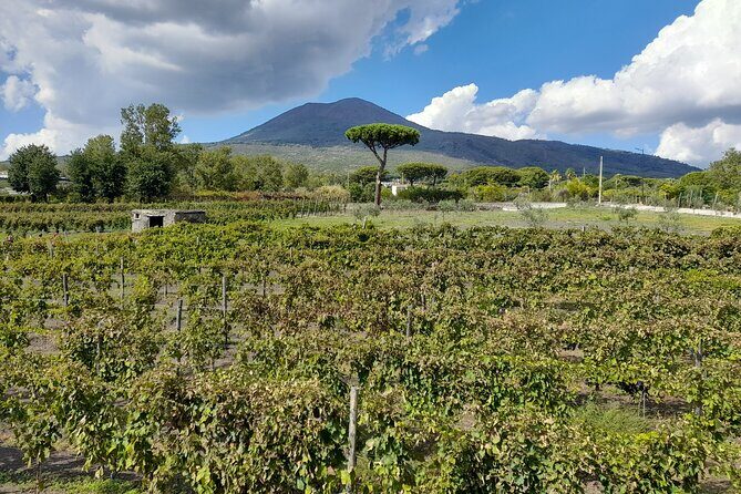 Skip-The-Line Tickets VIP Small Group Tour To Pompei and Vesuvius - Final Thoughts: Is It Worth It?