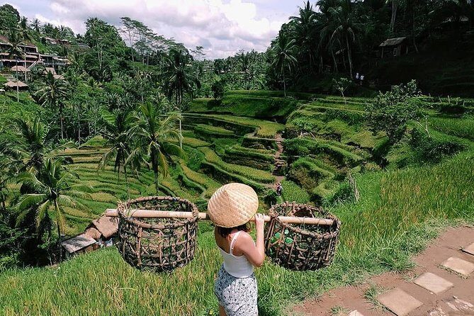 Skip-the-Line: Ubud Tour - All Inclusive Tickets - The Itinerary in Detail: What to Expect