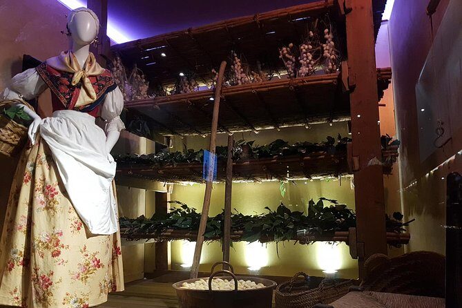Skip the Line: Valencia Silk Museum Ticket Entrance - In-Depth Review of the Itinerary and Highlights