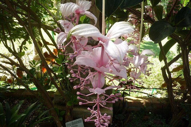 Skip the Line: Vallarta Botanical Garden Admission Ticket - The Itinerary: What to Expect on Your Day