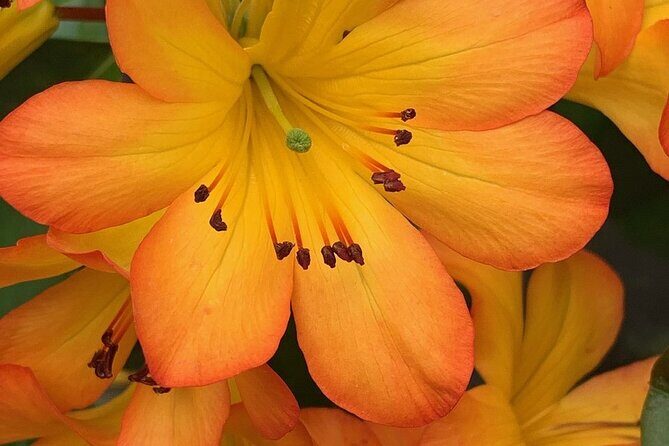 Skip the Line: Vallarta Botanical Garden Admission Ticket - Practical Tips for Visiting