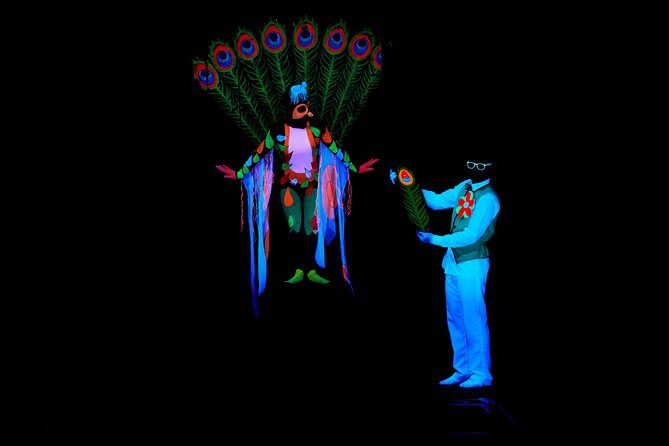 Skip the Line: WOW Show Black Light Theater in Prague Ticket - Accessibility and Practical Considerations