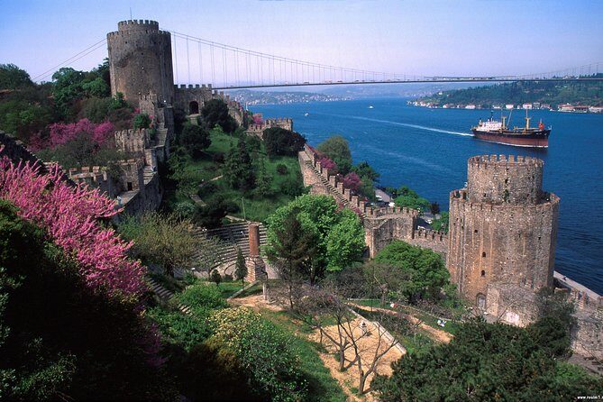 Skip-The-Line:1 or 2 Days Private Istanbul Guided Tour - Who Would Love This Tour?