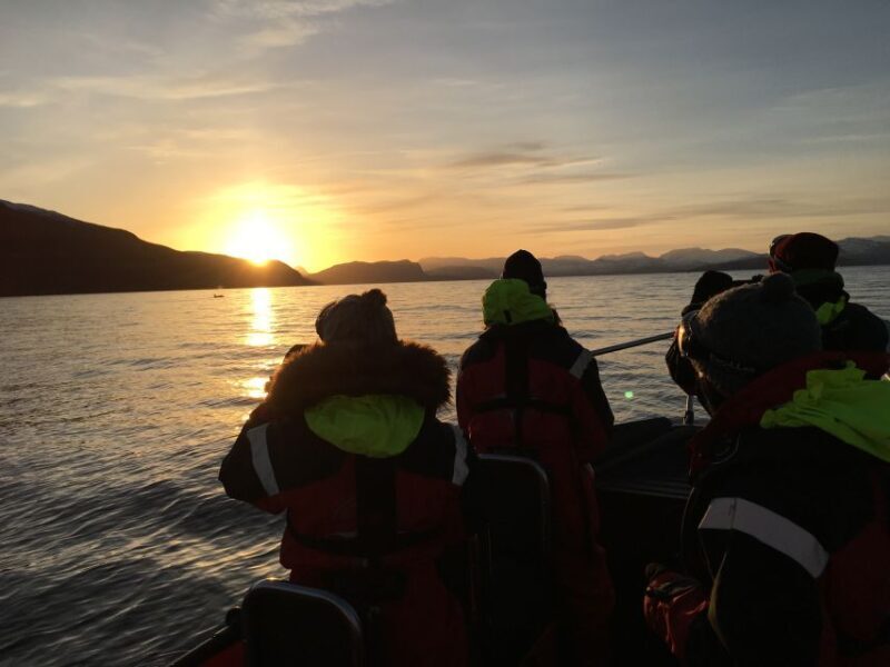 Skjervøy: Birds and Wildlife of Arctic Norway - Final Thoughts