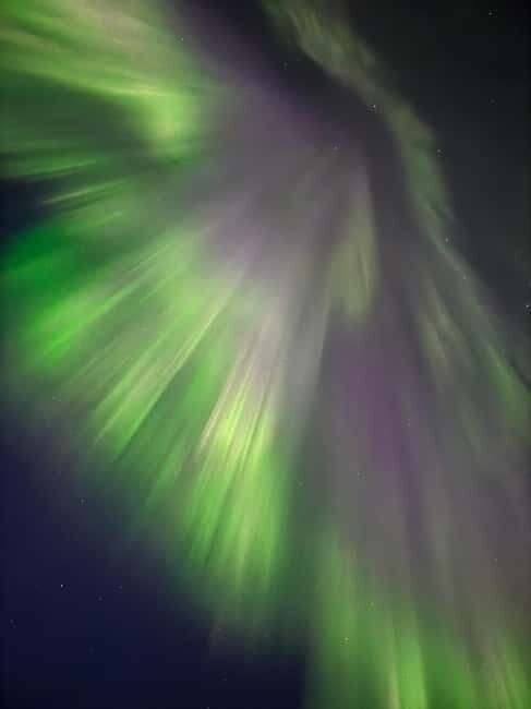 Skjervøy,North of Tromsø:Northern Lights Stargazing(Minivan) - Key Points