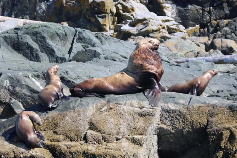 Skookumchuck Narrows: Rapids Boat Tour - The Experience in Detail
