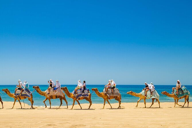 Sky Bike Adventure with Free Camel Ride and Horseback Riding - Who Should Consider This Tour?